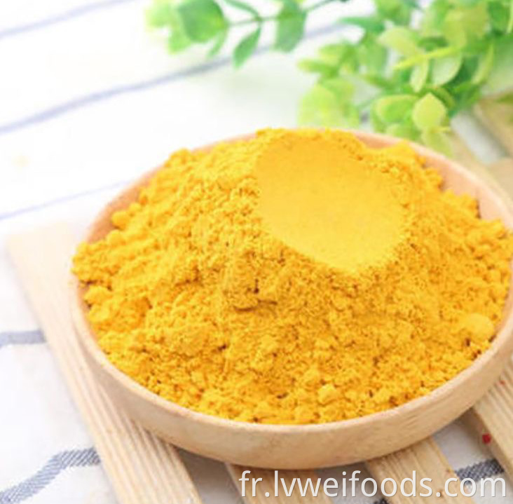 Poudre de citrouille déshydratée Dehydrated Pumpkin Powder